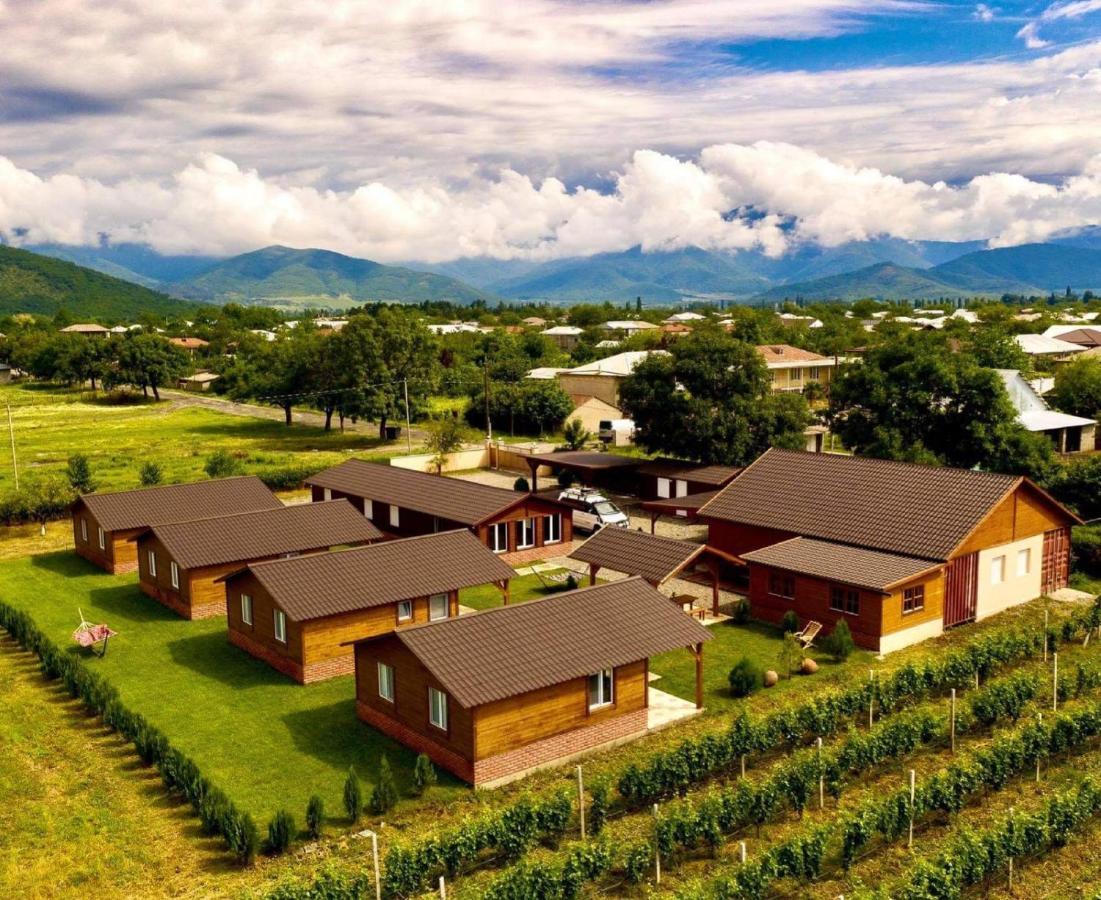 Finca Idoize Camping Hotel Akhmeta Exteriör bild