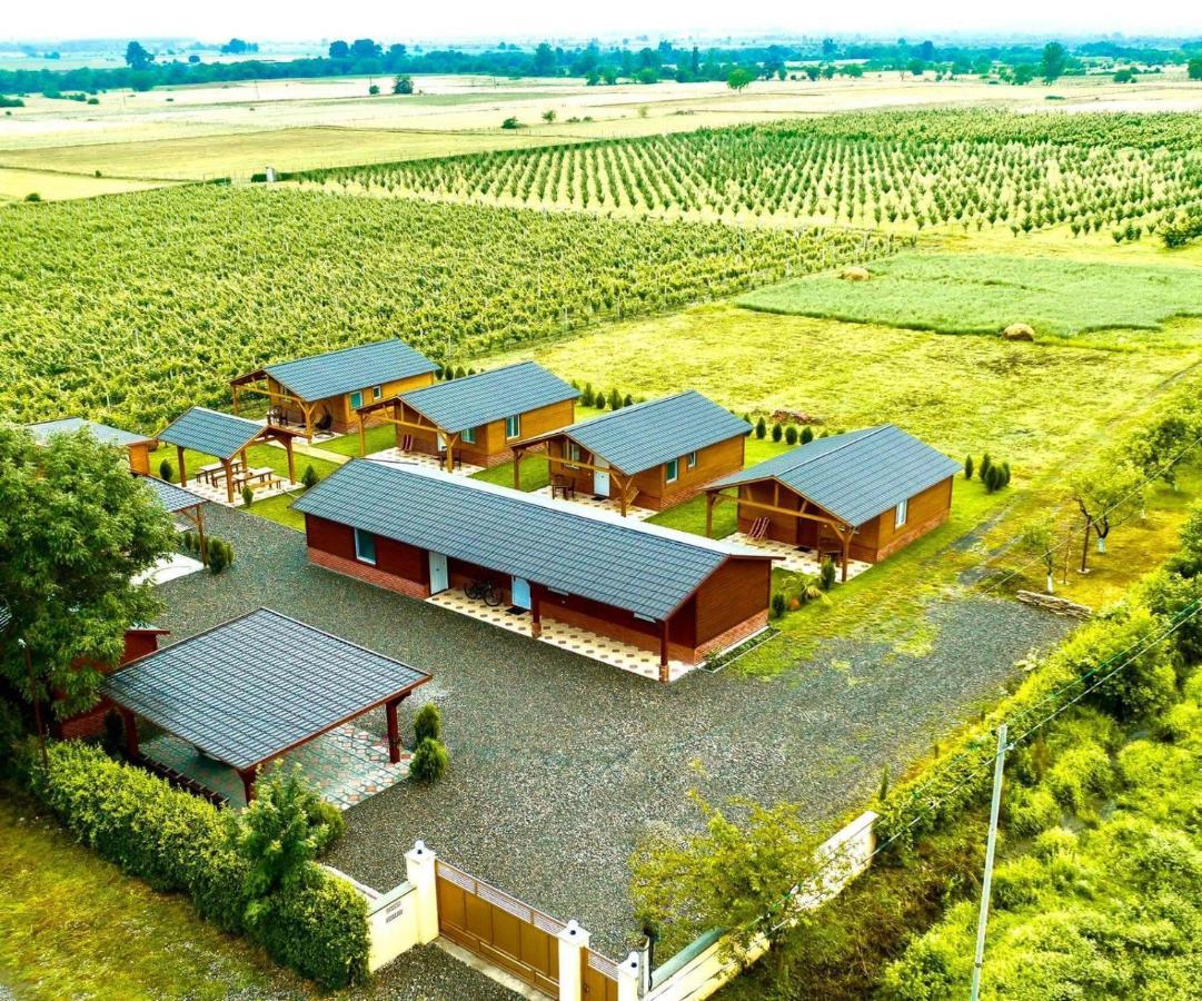 Finca Idoize Camping Hotel Akhmeta Exteriör bild